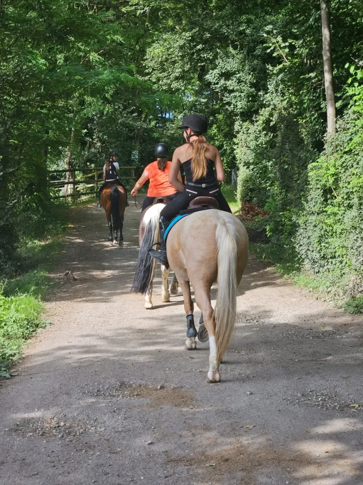 cours (2)