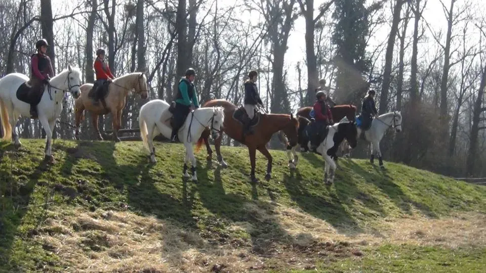 B.P.J.E.P.S Éducateur sportifs activités équestres près de Aix-les-Bains